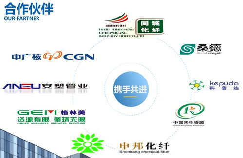 瑞利環(huán)保 一站式破碎清洗甩干設(shè)備與環(huán)保咨詢服務(wù)，打造綠色循環(huán)整體解決方案