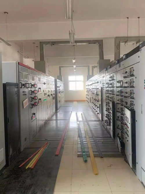 守護(hù)綠水青山 走進(jìn)海西州格爾木市污水處理廠的環(huán)保開放日